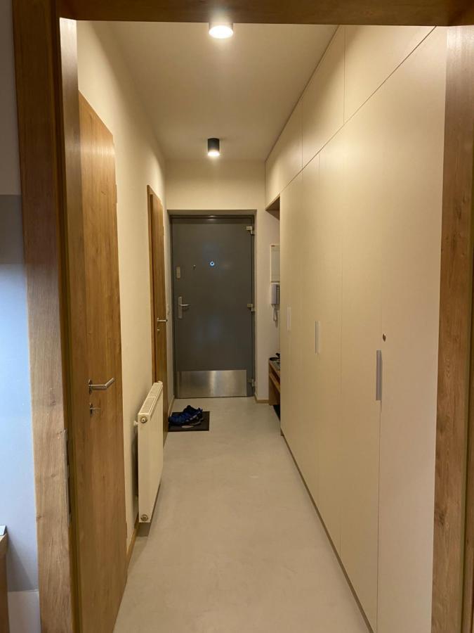 Luxusni Apartman U Sjezdovek S Garazi ハルラホフ エクステリア 写真