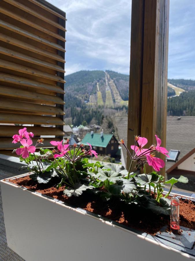 Luxusni Apartman U Sjezdovek S Garazi ハルラホフ エクステリア 写真