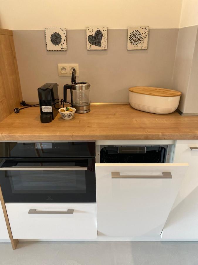 Luxusni Apartman U Sjezdovek S Garazi ハルラホフ エクステリア 写真