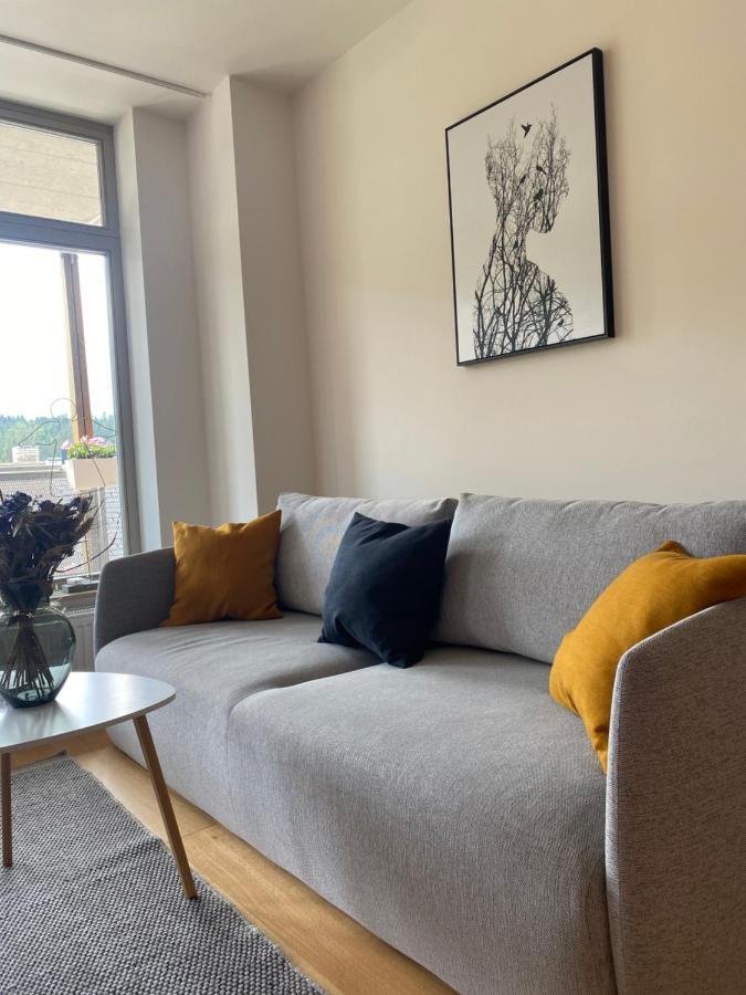 Luxusni Apartman U Sjezdovek S Garazi ハルラホフ エクステリア 写真